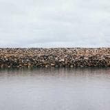 Paul Eovaldi headshot